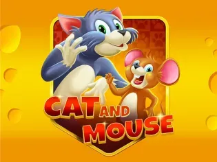 Cat and Mouse icon